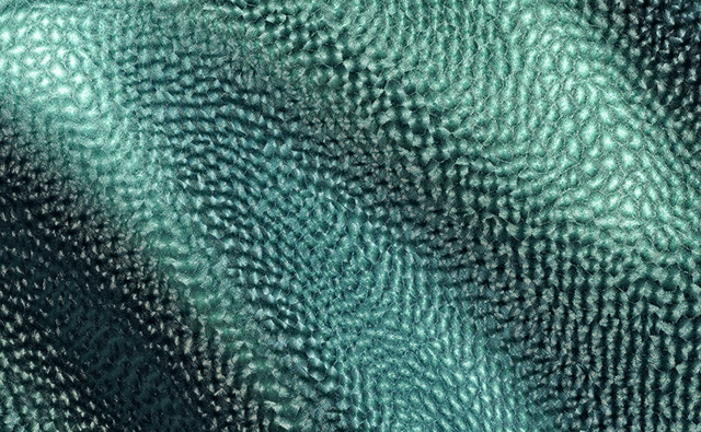 Styling Impulse for Coatings