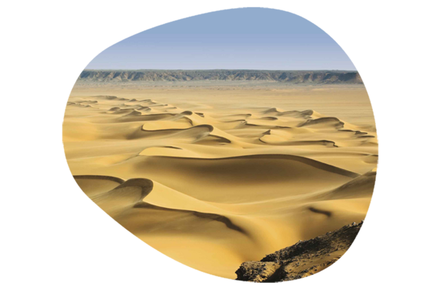 Meoxal® Taklamakan Gold Meoxal® Taklamakan Gold