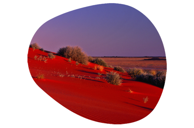 Meoxal® Victoria Red Meoxal® Victoria Red