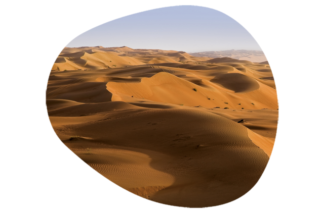 Meoxal® Wahiba Orange Meoxal® Wahiba Orange