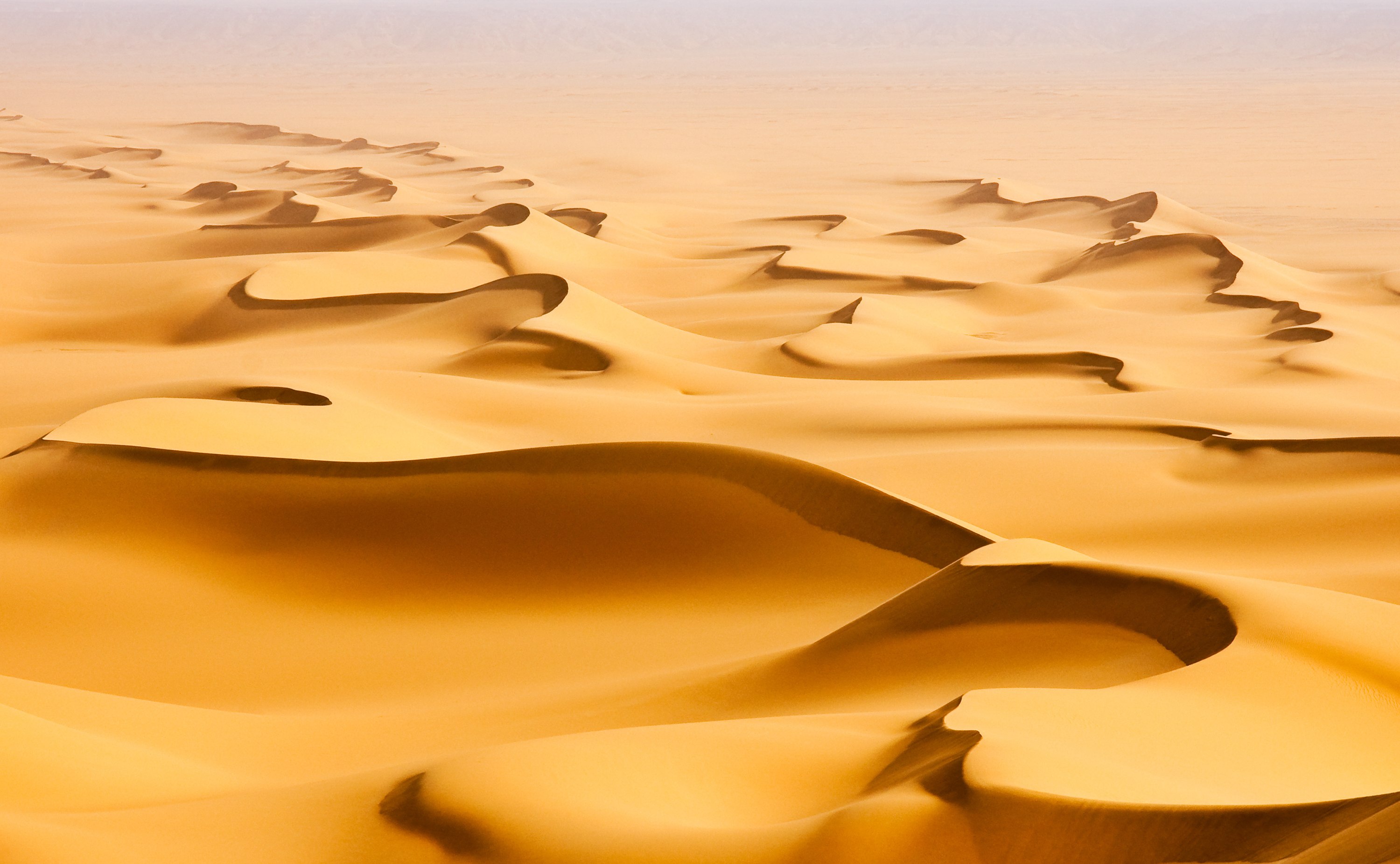 Meoxal® | EMD Surface Portal