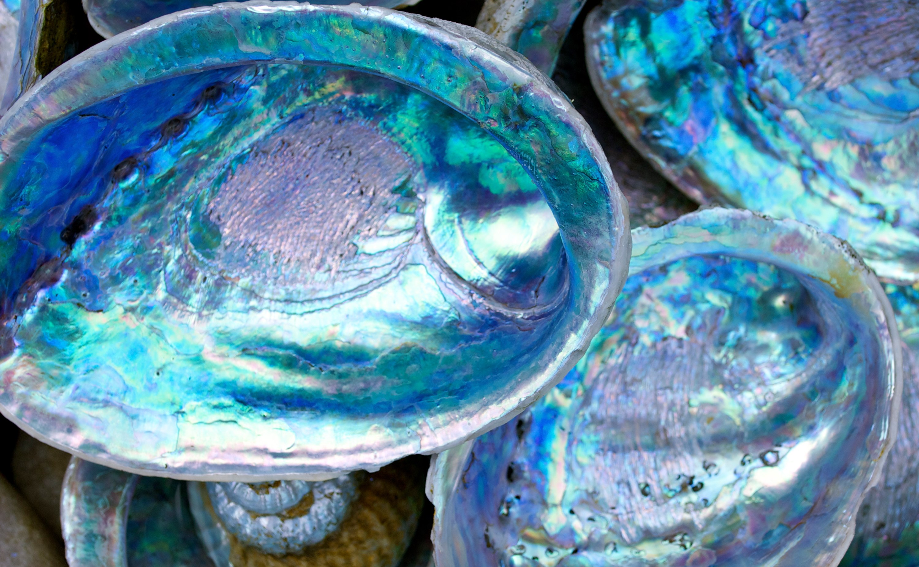 Pyrisma® | EMD Surface Portal